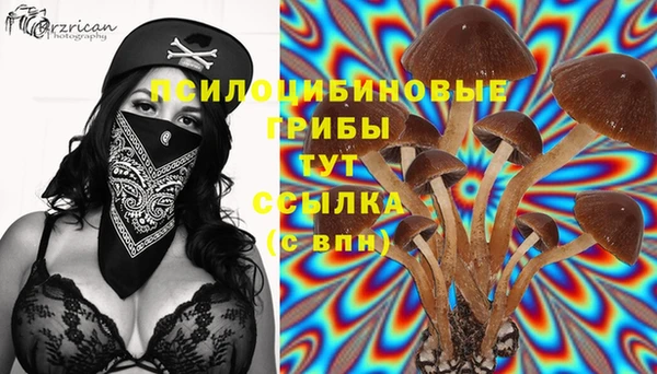 гашишное масло Богданович