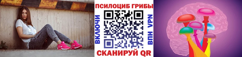 где можно купить   Верхняя Тура  Псилоцибиновые грибы мицелий 